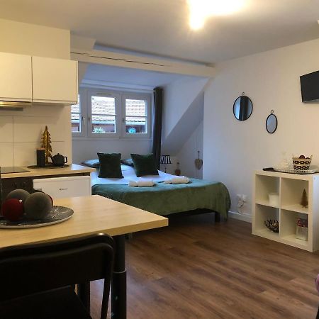 Coquet Studio Colmar Centre Екстериор снимка